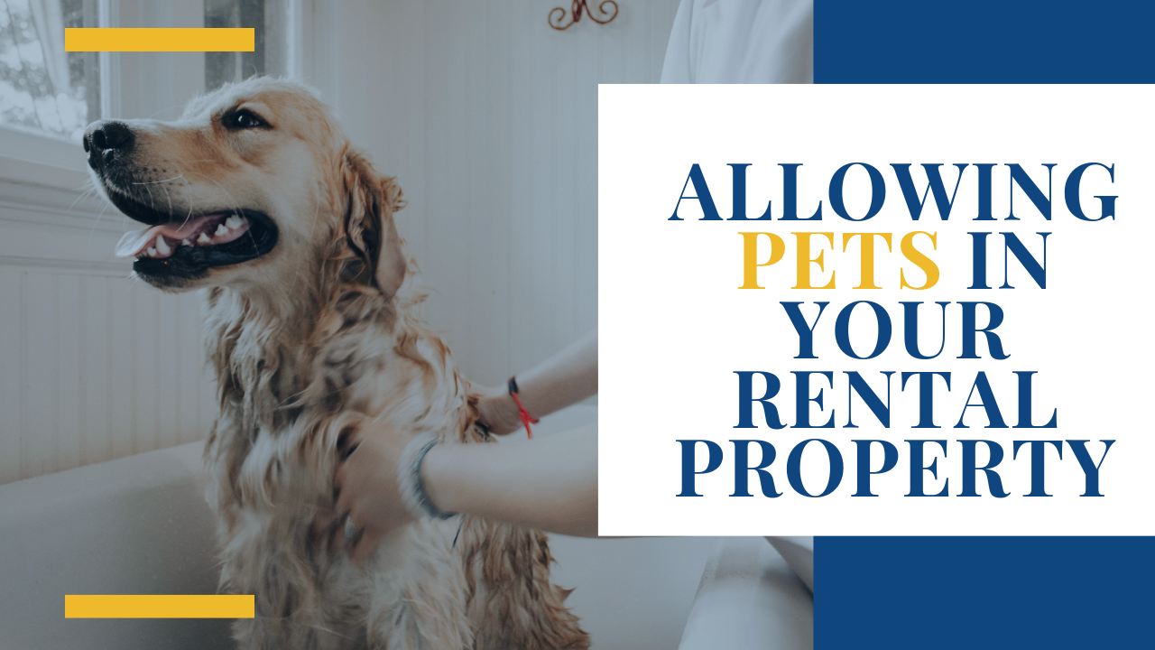 Allowing Pets in Your Rental Property | Denver Landlord Advice